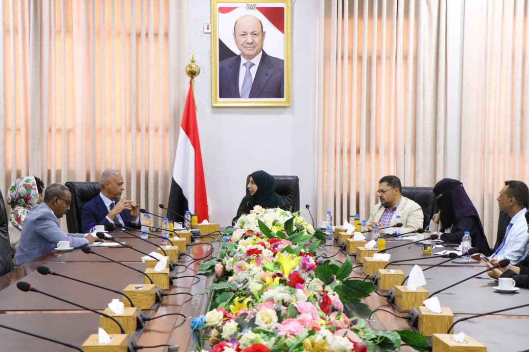 وزيرة التخطيط تبحث مع مسؤول أممي تفعيل آليات التنسيق لدعم أولويات التنمية والتعافي